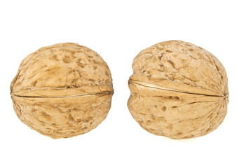 Two walnuts isolated on a white background