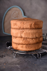 Homemade ideal sponge cake on table selective focus