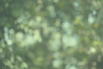 Obraz premium bokeh vintage background