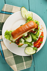 Hotdog with cucumber above view