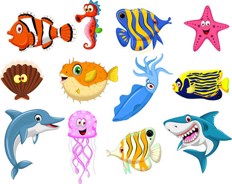 Cartoon Fish Images – Browse 381,748 Stock Photos, Vectors, and Video |  Adobe Stock