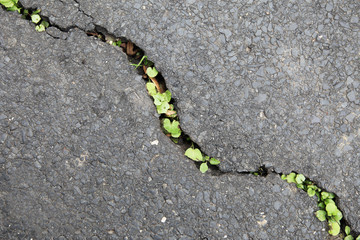 New Life