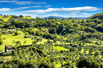 Obraz premium Varied landscape of Tuscany