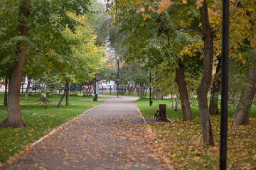 autumn Park in September