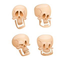 Skull face illustration isolated on white background.