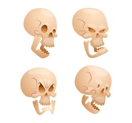 Skull face illustration isolated on white background.