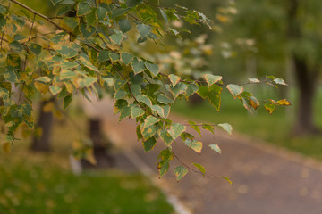 autumn Park in September