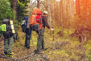 group of friends with backpacks going up in the forest