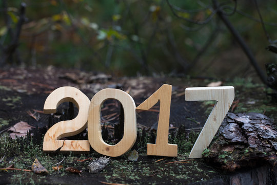 Figures 2017 on an old stump in the woods. Christmas theme