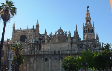 Fototapeta na wymiar Sevilla Cathedral From The Alcazar