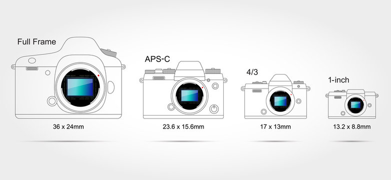 Digital camera sensor format (on scale 1:1)