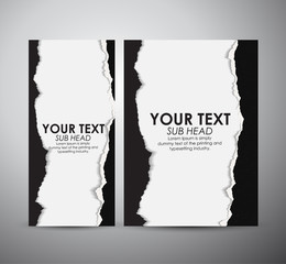 Abstract Torn Paper with white space. Graphic resources design template. Vector illustration.