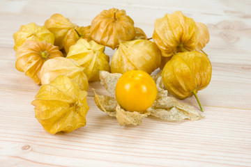 Physalis - Andenbeere - Kapstachelbeere