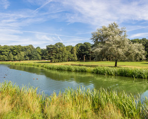 Beautiful late summer morning at Tatton Park, Knutsford, Cheshire, UK