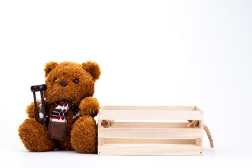 brown teddy bear isolated