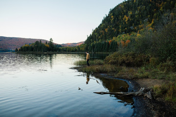 Coordination with nature