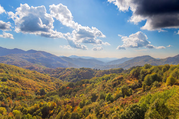 The mountain autumn landscape with colorful forest