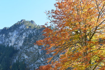 Herbst in den Ammergauer Alpen Bayern
