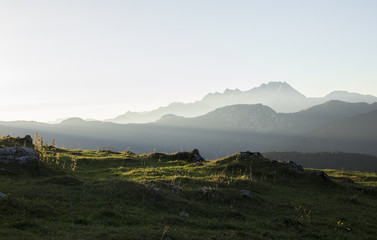 Early in the morning