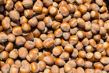Group of Hazelnuts