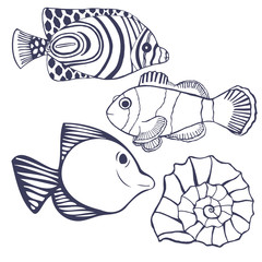 decorative collection fish, hand-drawing vector illustration sketch