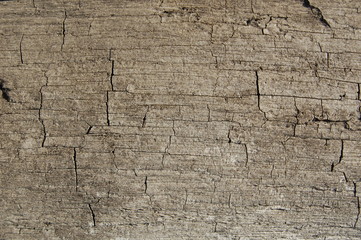 Wooden texture. vintage weathered wood background for design