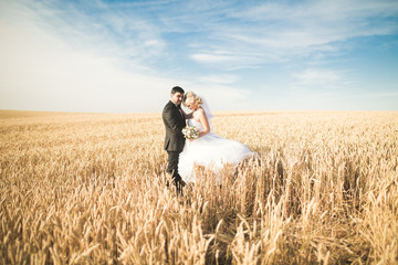 Beautiful wedding couple, bride and groom posing on wheat field with blue sky