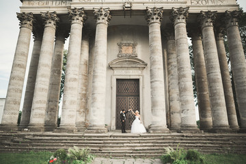Beautiful romantic wedding couple of newlyweds hugging near old castle