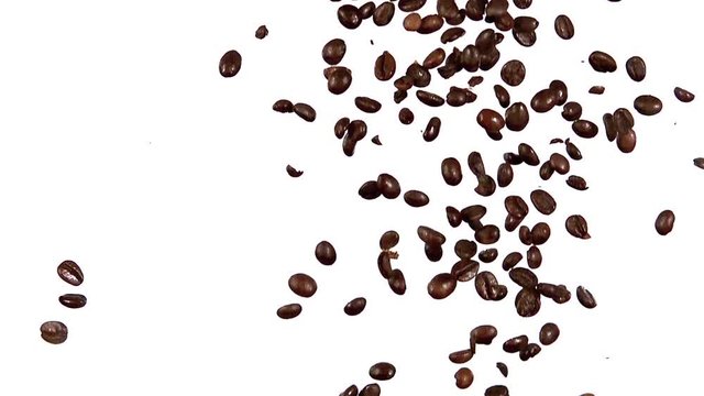 Coffee Beans Falling against White Background, Slow Motion