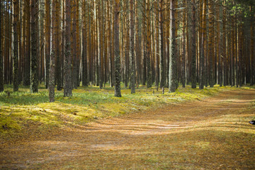  Forest Road. 
