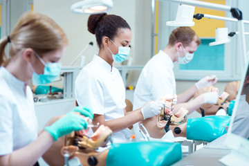 Obraz premium Students of stomatology