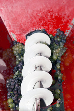 Electric grape crusher or stemmer