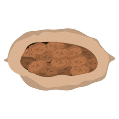 sack of potatoes.vegetables healthy food design over white background. vector illustration