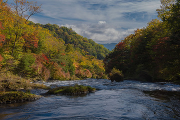 Fototapeta na wymiar Nature waterfall in the forest water stream. season in nikko japan