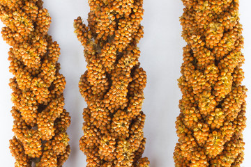 Three twig red millet on white background. top view.