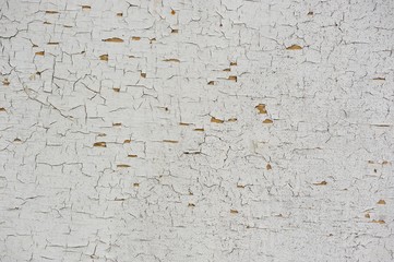 White Cracked Wood Texture