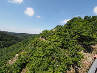 Obraz premium Hängeseilbrücke - Geierlay - Hunsrück 