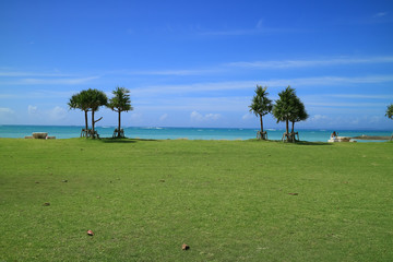 青と緑のシンメトリー