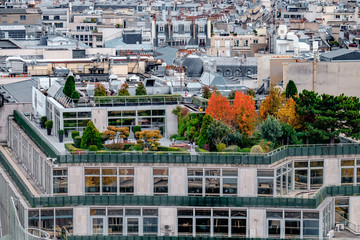 Paris rooftops in the historic heart of the city. View with close up detail.
