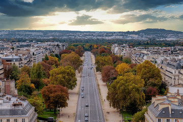 Aerial view over streets of Paris, France with trees in autumn colors lining sidewalks on sunny day.