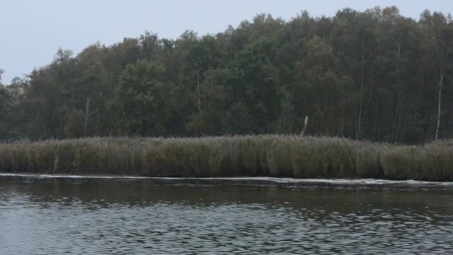 driving along the Bodden of Baltic sea at Bock Isle with reed shore. autumn time (Germany)
