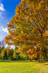 Beautiful colorful autumn.