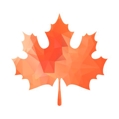 Fototapeta premium Abstract Maple Leaf Silhouette with Pattern. Vector