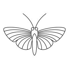 Hawk moth butterfly icon. Outline illustration of hawk moth butterfly vector icon for web
