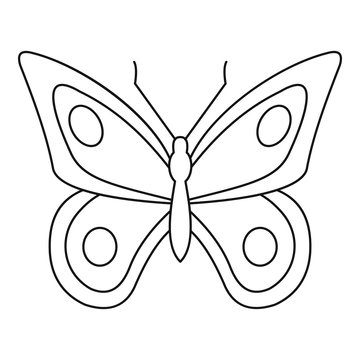 Lovely butterfly icon. Outline illustration of lovely butterfly vector icon for web