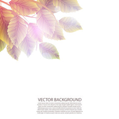 Fototapeta premium beautiful autumn leaves on a white background, vector background