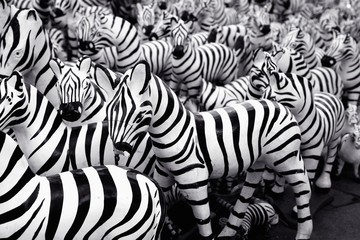 
Black and White abstract of zebras statue in various sizes in Thailand was displayed in an orderly manner at the side of the road.
