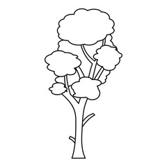 Linden tree icon. Outline illustration of tree vector icon for web