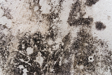 Closeup of rough sandstone surface
