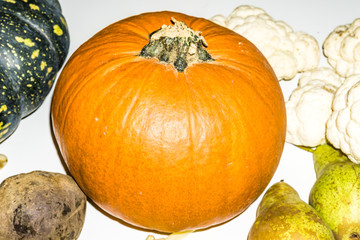 Local autumn vegetables on a white table